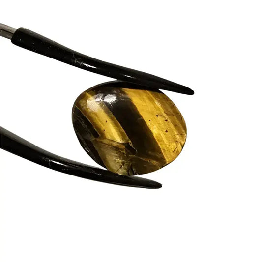 Tigers Eye - Oval Cabochon - Cabochon