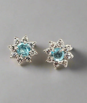Øreringe i Sølv med Apatite Ædelsten og Zirkoner Earrings