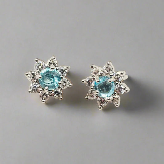 Øreringe i Sølv med Apatite Ædelsten og Zirkoner - Earrings